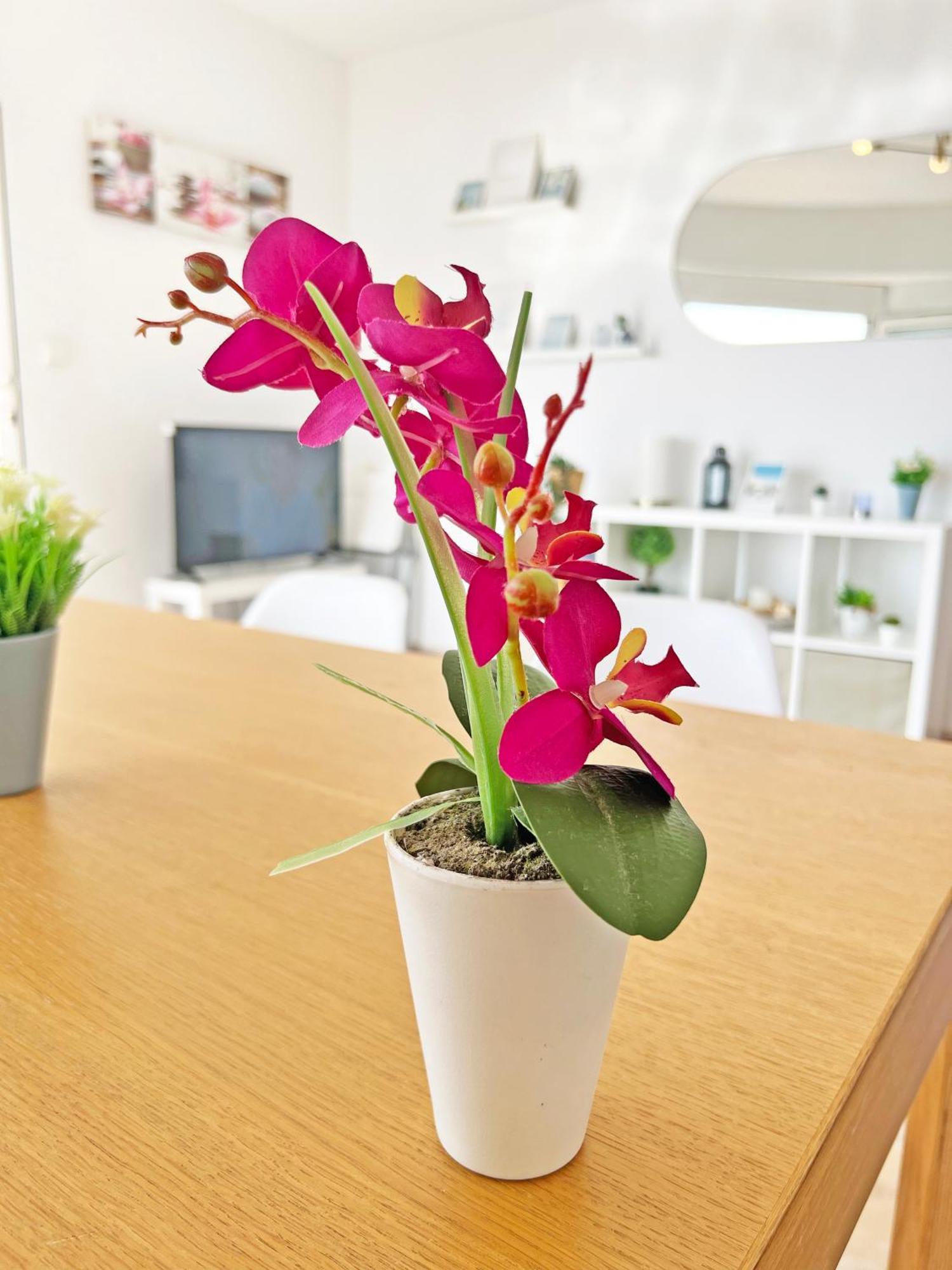 坎佩略Atico Frente Al Mar 2 Terrazas Barbacoa Y Parking Sujeto A Disponibilidad公寓 外观 照片